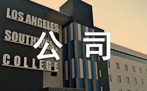 公司个人工作报告范文