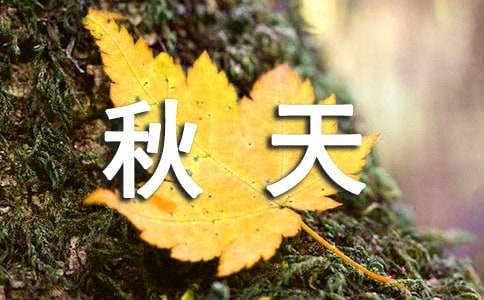秋天的雨教学反思