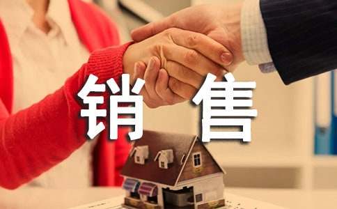 销售试用期工作总结[精品]